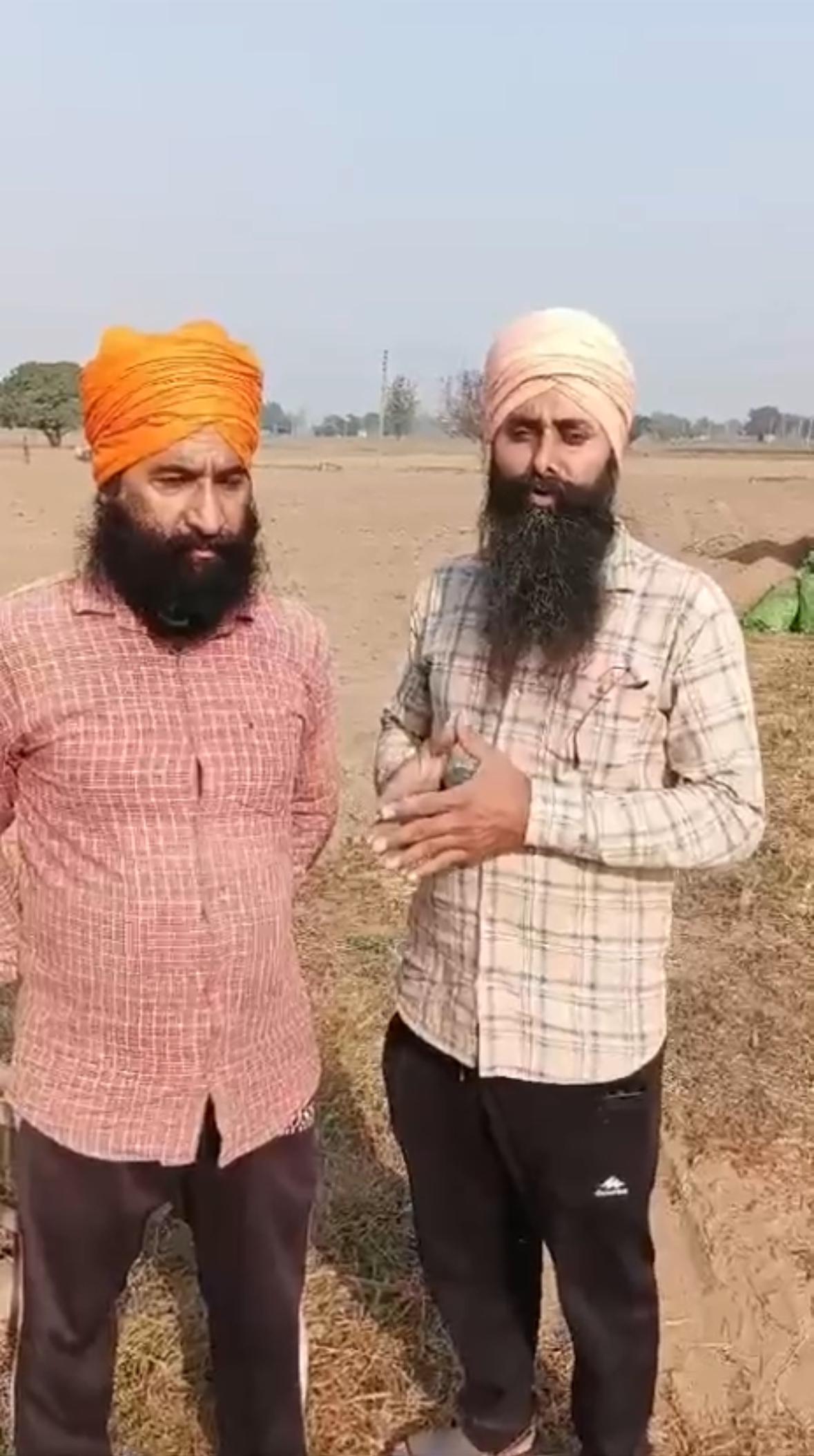 Phosphorus element can be supplied by mixing urea with single super phosphate in potatoes along with wheat - Chief Agriculture Officer